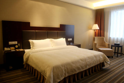 TFH007.jpg