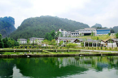 SMD003.jpg